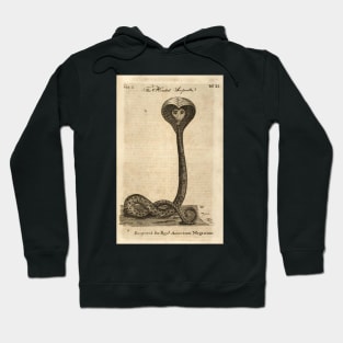 hooded serpent 1774 - Paul Revere Hoodie